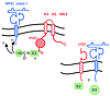 Viral ubiquitination and the destruction of MHC class I molecules. HHV-8 K3