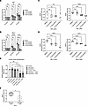 ACSS2 is essential for ccRCC growth and proliferation.