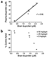 In vivo relationship between ibuprofen levels and brain Aβ42 levels. Tg2576