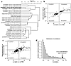 Computational analyses of the hepatic transcription profile after icv and s