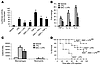 Pretreatment with exogenous antioxidants alleviates inflammation in Nrf2-d