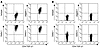 High-level expression of Notch ligands on TGF-βm+, but not TGF-βm–, cells.