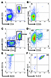 Activated pathogenic CD4+ T cells infi