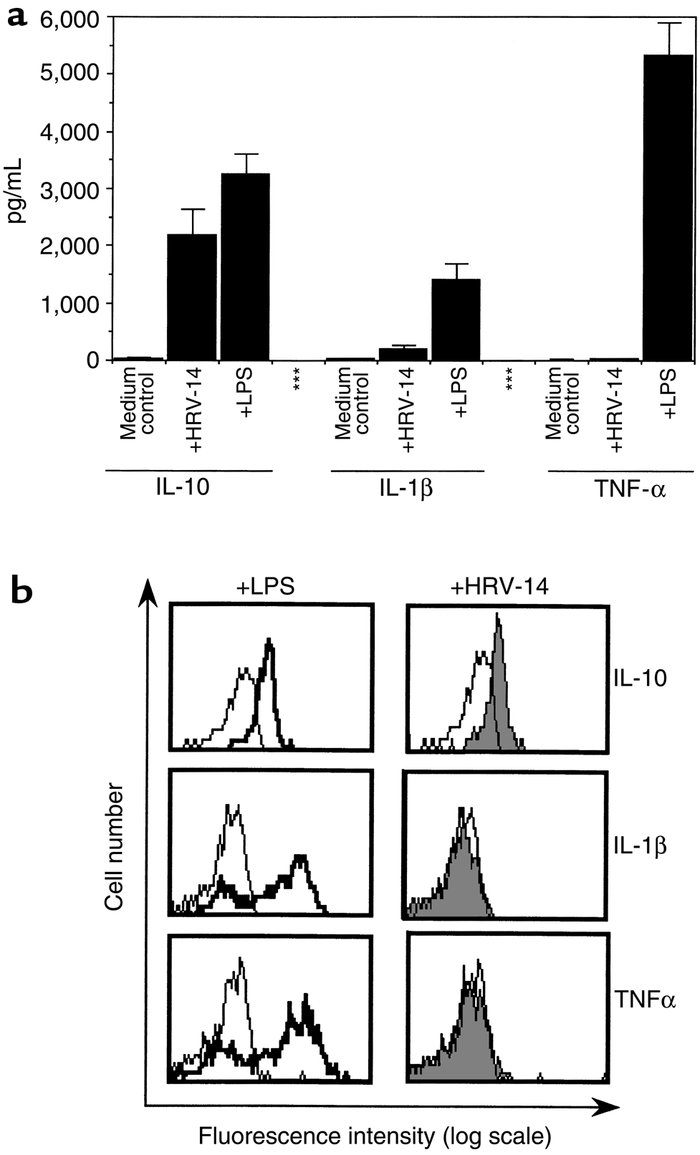Induction of IL-10 production in monocytes by HRV-14. (a) Supernatants o...