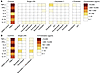 PKC agonists alone or in combination with another LRA do not induce substan