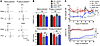 VDAC1 inhibition improves the phenotype of diabetic mice.