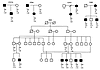 Inheritance of mutations in MC4R. Cosegregation of mutational status with B