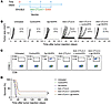 Anti–CTLA-4 therapeutic activity is impaired by the addition of gp100/IFA v