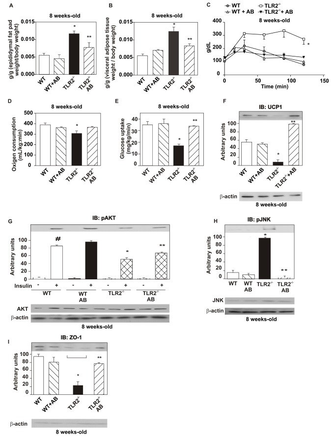 An external file that holds a picture, illustration, etc.
Object name is pbio.1001212.g007.jpg