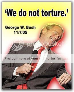 nu-bush-torture-2-20-13.jpg image by ellroon