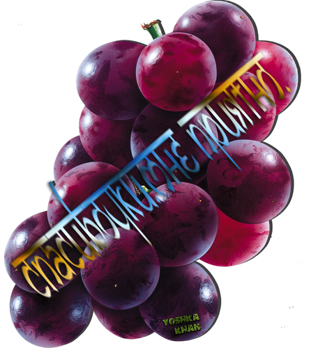 grape_PNG2979.png