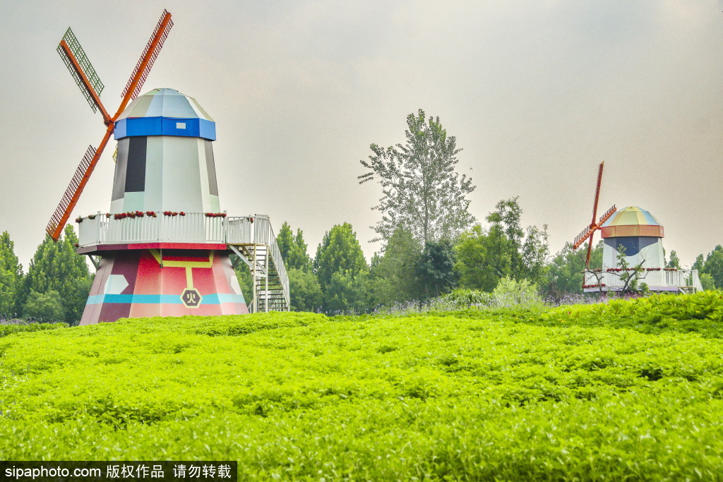 Beijing International Flower Port