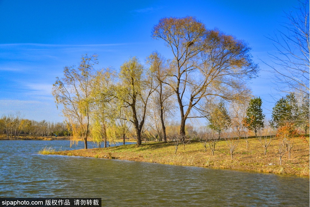 Dongjiao Wetland Park