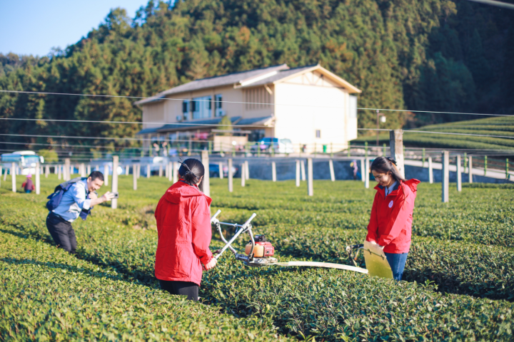 Zhejiang-Shizuoka cooperation in the tea industry goes on wheels