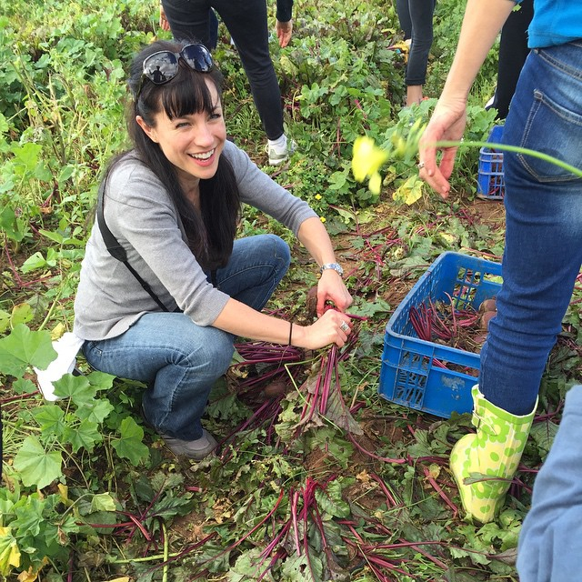 picking beets (640x640, 616Kb)