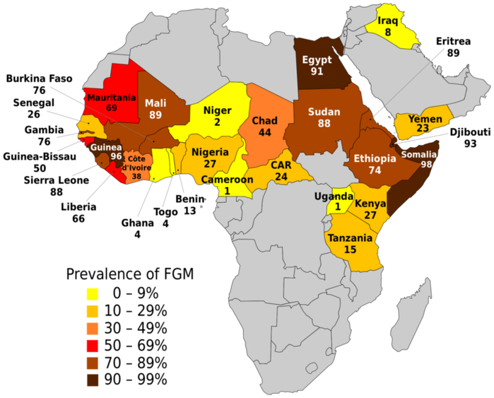 FGM_prevalence_UNICEF_2013.svg (700x563, 175Kb)