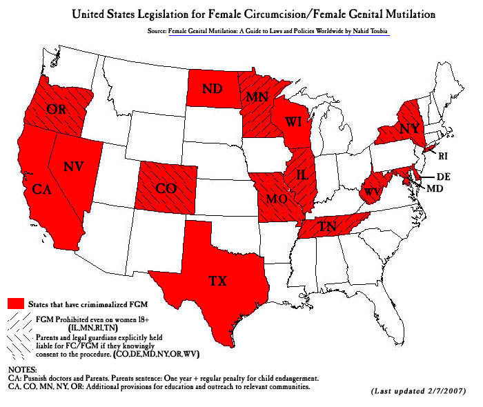 FGM_map_USA_2007 (700x590, 142Kb)