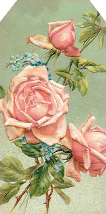 4267534_Floral_tag__pink_roses__lilacnlavender (346x700, 216Kb)