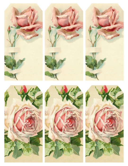 4267534_Rose_and_buds__6_tags_printable__lilacnlavender (541x700, 288Kb)