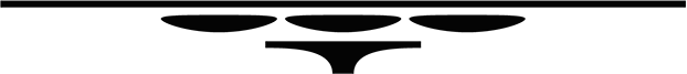 4153430_10 (621x23, 3Kb)/4153430_33 (622x67, 3Kb)