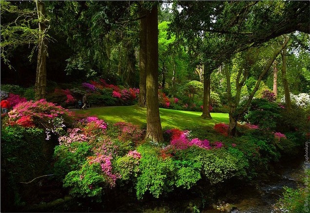 Bodnant-Garden-2 (636x437, 131Kb)