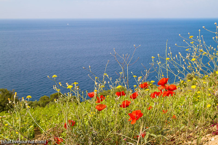 20100527-085648_Hvar (700x466, 193Kb)