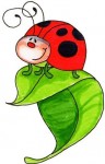 2094999_thumb_ladybug02 (96x150, 6Kb)