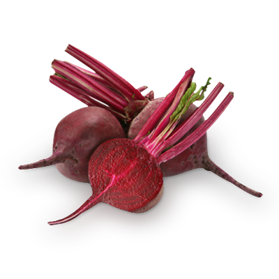 Beetroot (400x400, 153Kb)