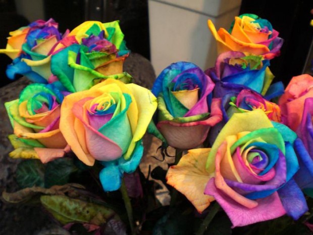 ssroses_06-620x465 (620x465, 73Kb)