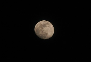 luna (300x204, 4Kb)