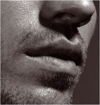 lips 8 (324x339, 28Kb)