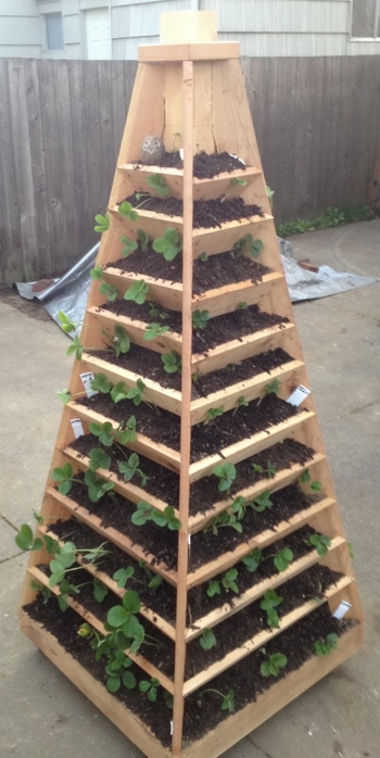 Vertical-Garden-Pyramid-Tower_02 (350x700, 187Kb)