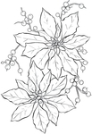  Poinsettia-Line-Art-GraphicsFairy (481x700, 201Kb)