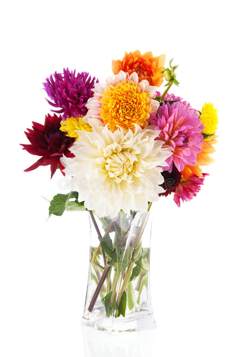 bouquet-dahlias-glass-vase-isolated-over-white-background-35998801 (466x700, 221Kb)