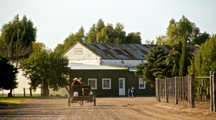 1_argentina-menonites-horsecart-2015-6-4-940x524 (700x389, 277Kb)