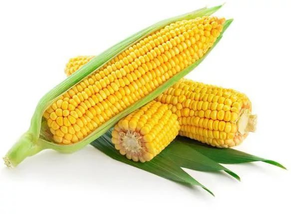 рецепты с кукурузой (583x430, 148Kb)