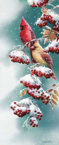 scarlet-and-snow-cardinals-by-susan-bourdet-1085697026 (2) - Copy (205x500, 69Kb)