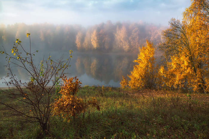 5685413_871003_mainEvgeni_Erokhin__Vladimirskaya_oblast (700x466, 65Kb)