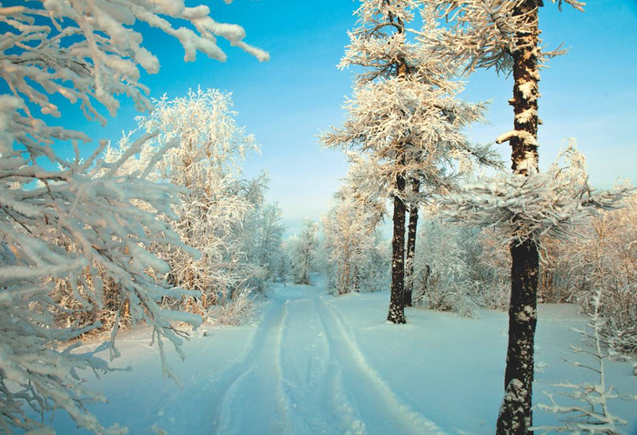 зимний пейзаж фото 16 (700x478, 427Kb)