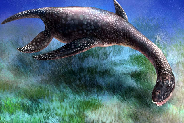 Fossil of a 15 Ton Sea Creature Found in Antarctica (1) (640x427, 226Kb)