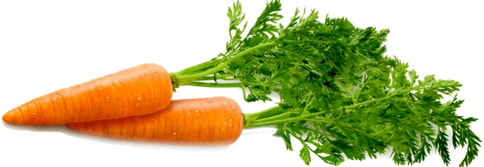 морковь (700x241, 224Kb)