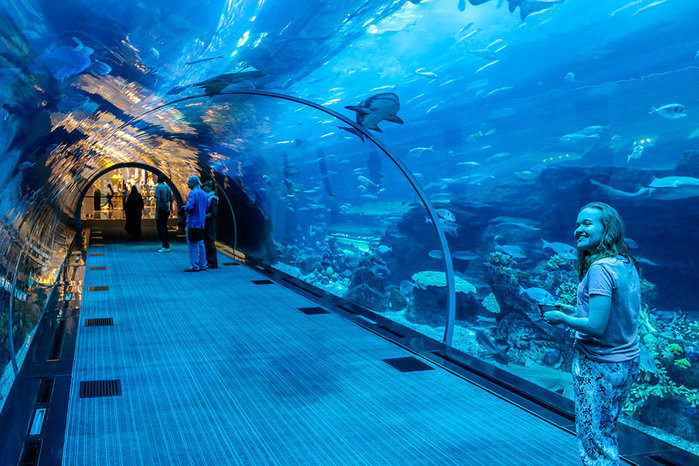 dubai-aquarium (700x466, 530Kb)