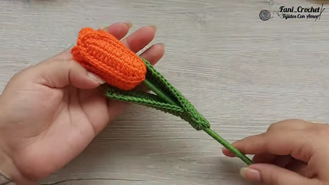 crochet6 (640x360, 57Kb)