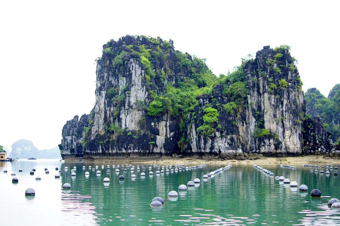 pearl-farm-in-halong-bay (700x465, 304Kb)