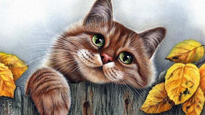 HD-wallpaper-cat-art-painting-pictura (900x593, 53Kb)