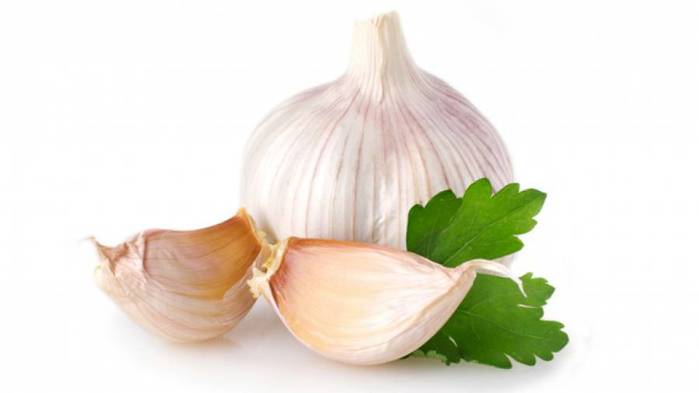 study-garlic-builds-muscle_1 (700x393, 15Kb)