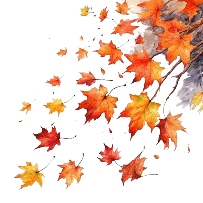 VMD_AutumnBlessing_el (162) (700x700, 451Kb)