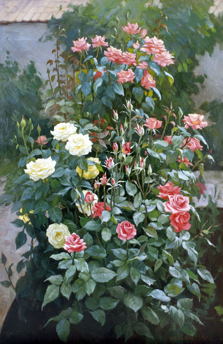 Розы-в-саду (454x700, 472Kb)