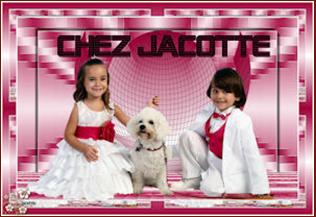 banner jacotte (316x217, 17Kb)