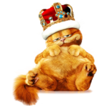  Garfield_1 (320x320, 119Kb)